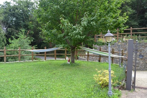 Spring, Summer, Garden