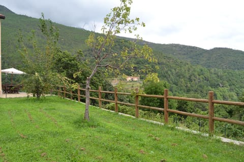 Garden, Mountain view