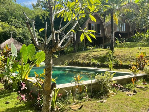 Garden, Swimming pool