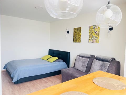 Cozy apartment with lake view Apartment in Vilnius County, Lithuania