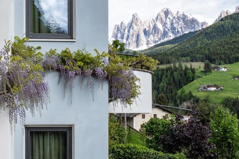 Property building, Facade/entrance, Mountain view