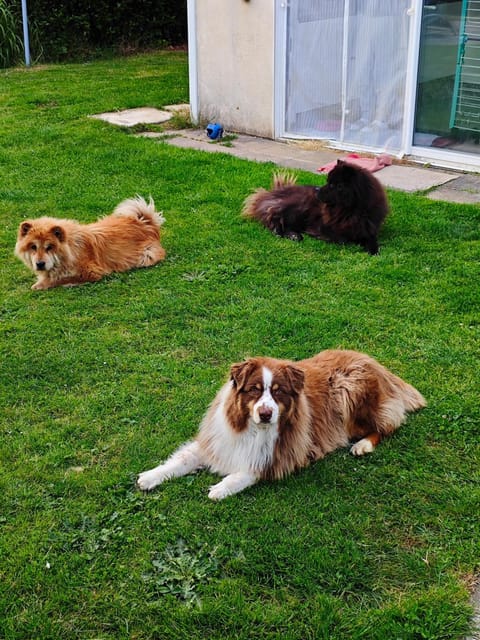 Petit séjour en chalet Apartment in Île-de-France