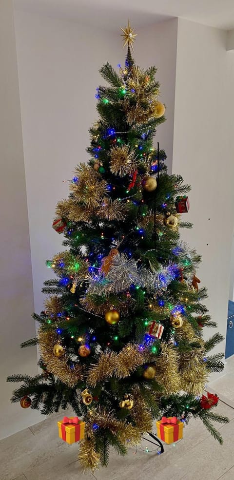 Lyme View Apartment Apartment in Lyme Regis