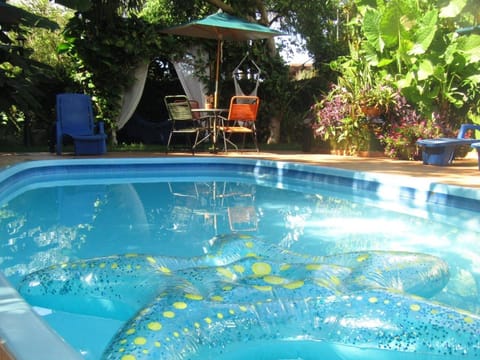 Property building, Day, Garden, Garden view, Pool view, Swimming pool, sunbed