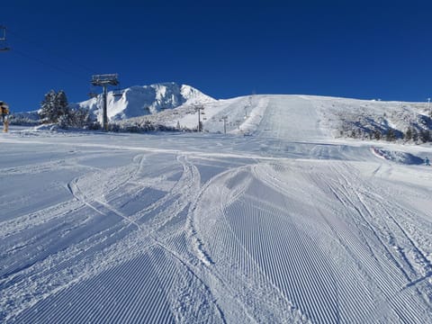 Тодор Прегьов Bed and Breakfast in Bansko