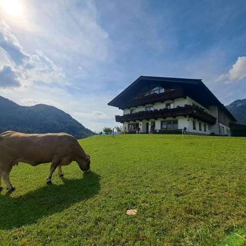 Bommerhof Farm Stay in Salzburgerland