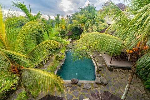 Natural landscape, Garden, Garden view, Pool view, Swimming pool