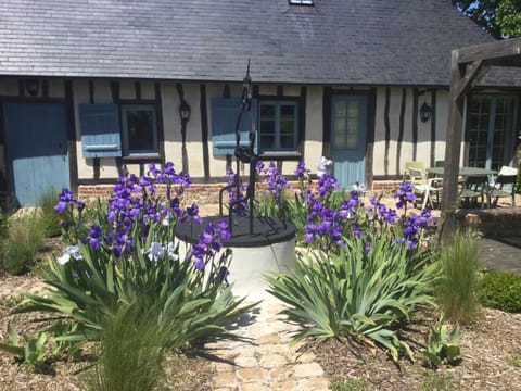 Property building, Garden view