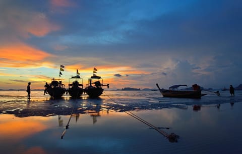 Natural landscape, Beach, Sunset