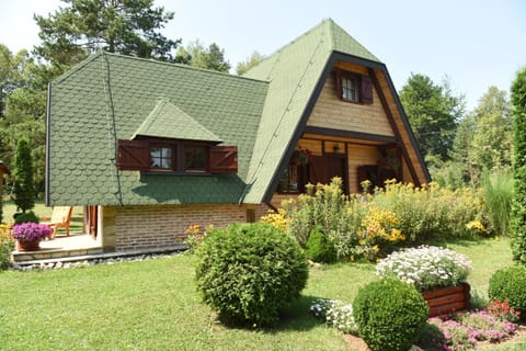 Višnjin Dom House in Zlatibor District, Serbia