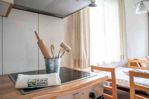 Honzarhof Apartment in Tyrol