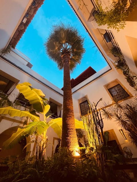 Property view