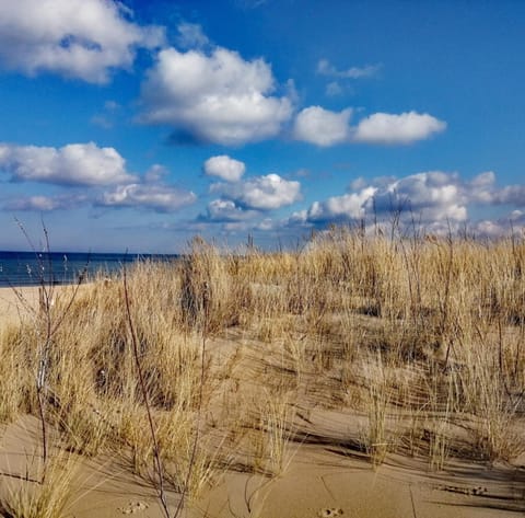 ISLAND4U Vacation rental in Gdansk