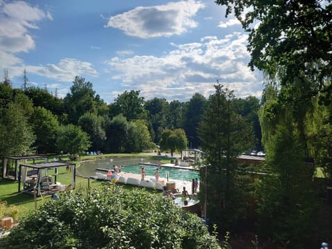 Natural landscape, Pool view, Swimming pool