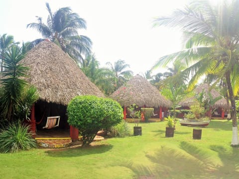 Bird's eye view, Garden view
