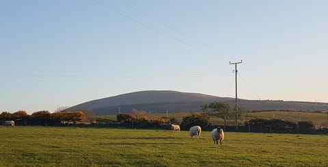 Tornabodagh House House in Northern Ireland