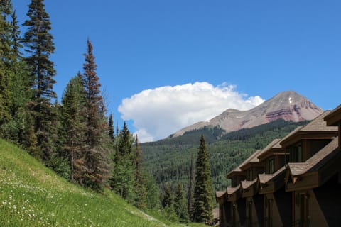 Cascade #54 Apartment in Colorado