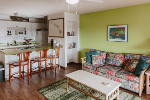 Living room, Dining area, minibar, kitchen