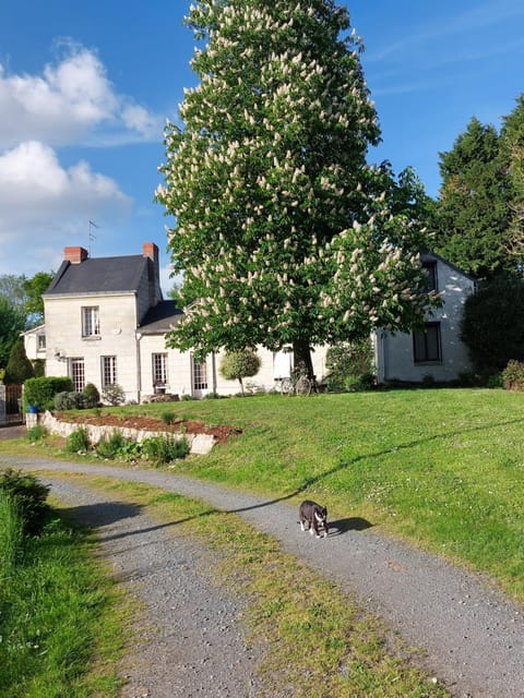 Property building, Natural landscape, Garden, Pets, Garden view