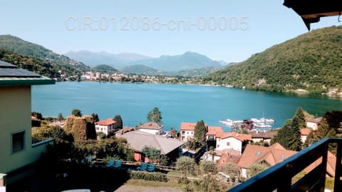 Lake view