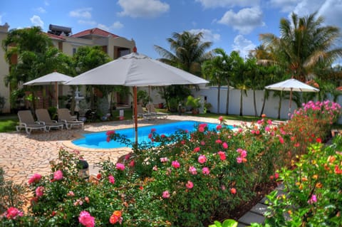 Garden, Swimming pool