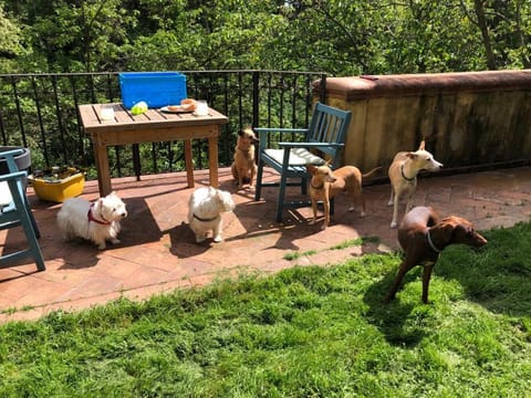 Castello di Montonate, two-bedroom apartment House in Lombardy