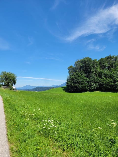 Landhaus Fellnerbauer Apartment in Bad Reichenhall