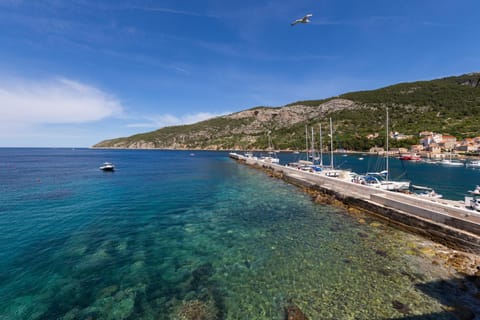 Neighbourhood, Sea view