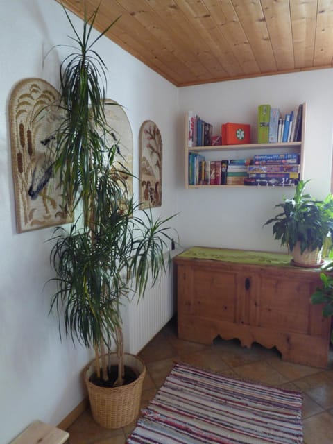 Library, Entertainment