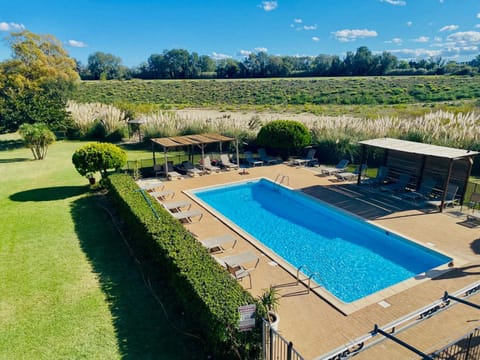 Day, Garden, Swimming pool, Swimming pool, sunbed