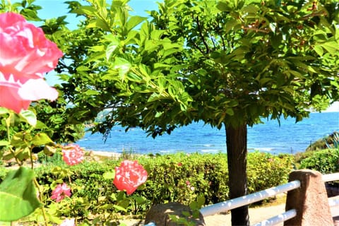 Garden, Balcony/Terrace, Sea view