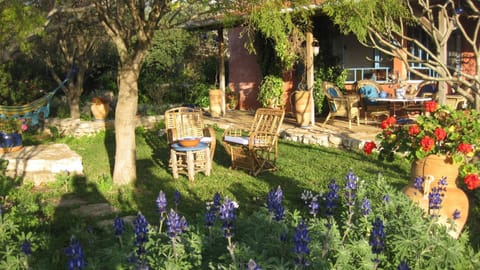 Garden, Garden