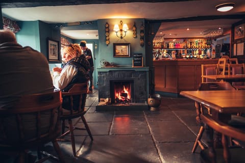 Lounge or bar, fireplace