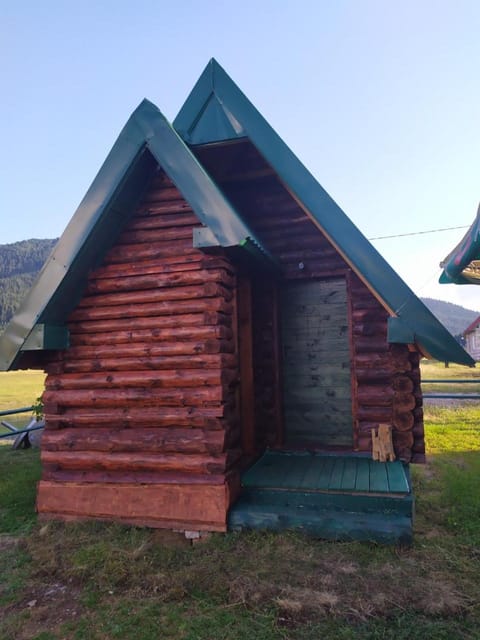 Cottage MANSION House in Zlatibor District, Serbia