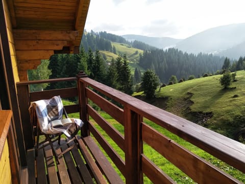 Balcony/Terrace, Mountain view