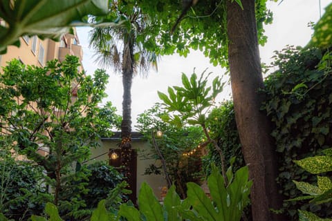 Natural landscape, Garden, Sunset