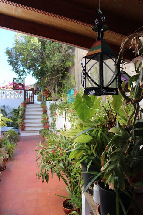 Patio, Garden