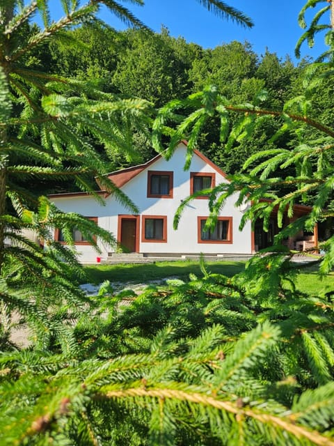 Property building, Spring, Day, Natural landscape