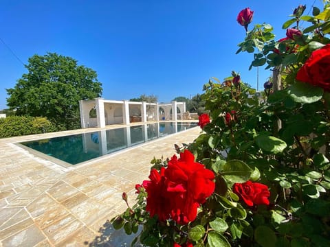 Day, Natural landscape, Summer, Garden, Pool view, Swimming pool
