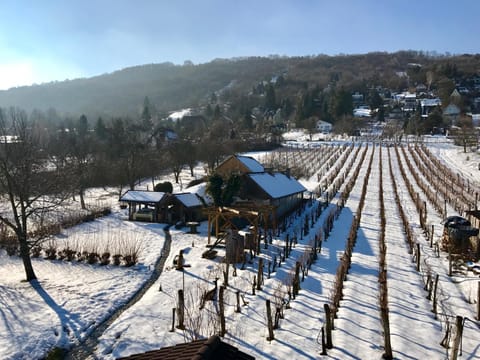 Other, Garden view