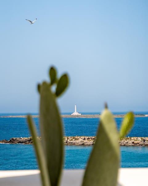 Natural landscape, Balcony/Terrace, Sea view