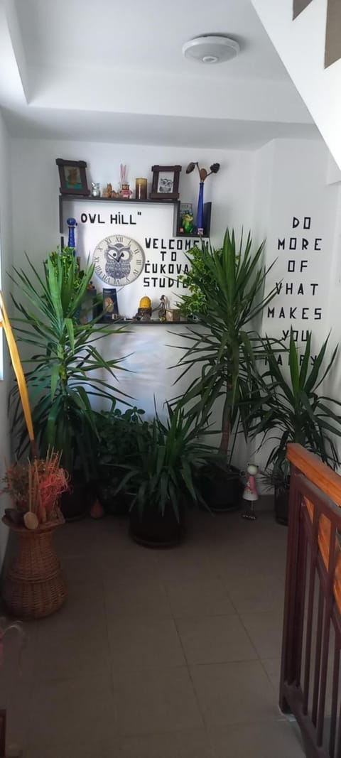 Ćukovac studios Apartment in Belgrade