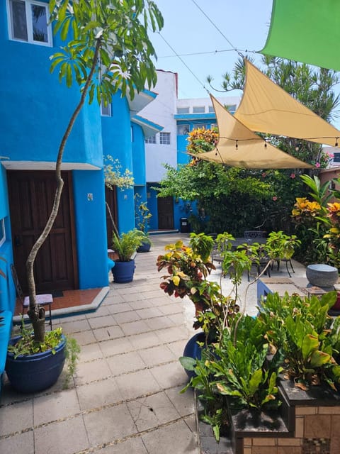 Patio, Garden, Garden view