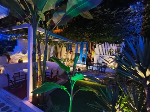 Night, Garden, Balcony/Terrace