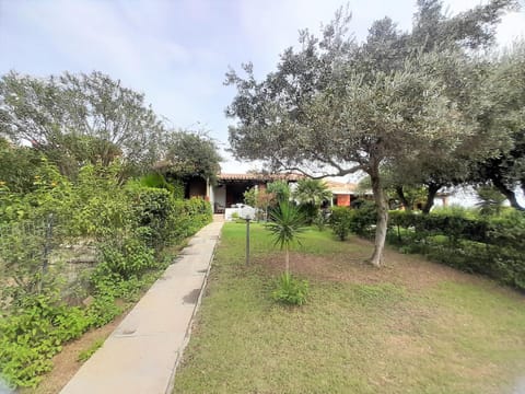 Property building, Garden, Garden view