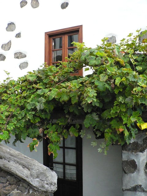 Casa Rural Los Llanillos House in El Hierro