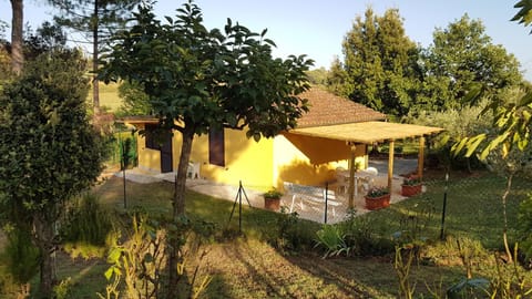 Property building, Garden