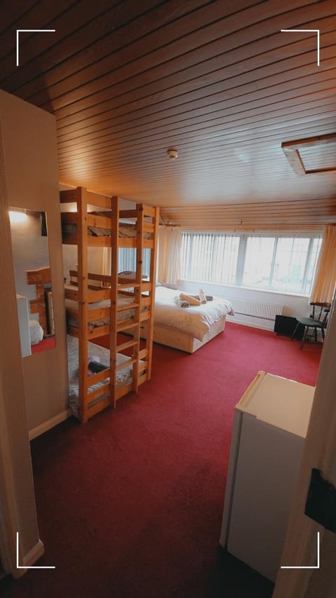 Photo of the whole room, Bedroom, bunk bed