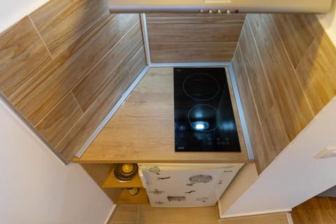 Your ONE and ONLY Apartment in Belgrade