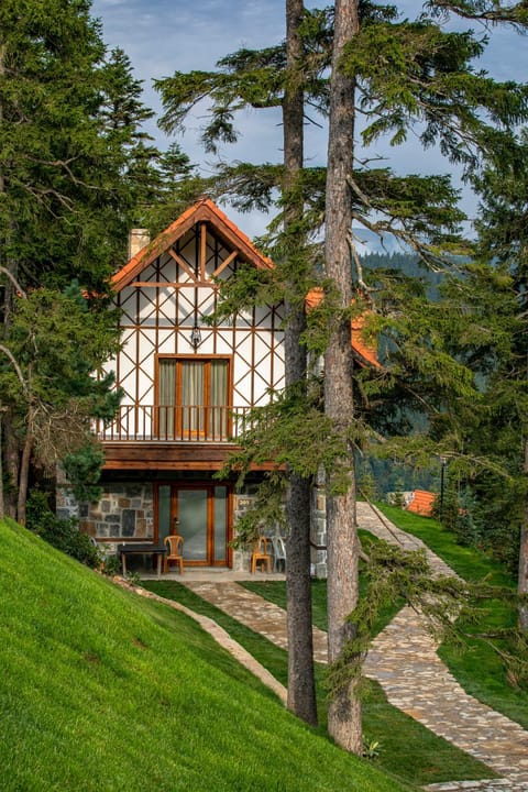Natural landscape, Garden, Mountain view